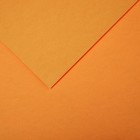 Бумага цветная CANSON Iris Vivaldi, 21 х 29.7 см, 1 лист, №32 Оранжевая кожа, 240 г/м2 - фото 10692481