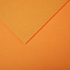 Бумага цветная CANSON Iris Vivaldi, 21 х 29.7 см, 1 лист, №32 Оранжевая кожа, 240 г/м2