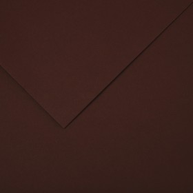 Бумага цветная CANSON Iris Vivaldi, 21 х 29.7 см, 1 лист, №34 Шоколадный, 240 г/м2