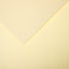 Бумага для пастели Mi-Teintes CANSON, 21 х 29.7 см, 1 лист, №101 Желтый бледный, 160 г/м2 - фото 10692484