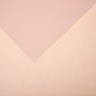 Бумага для пастели Mi-Teintes CANSON, 21 х 29.7 см, 1 лист, №103 Розовый рассвет, 160 г/м2 - фото 10692486