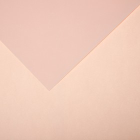 Бумага для пастели Mi-Teintes CANSON, 21 х 29.7 см, 1 лист, №103 Розовый рассвет, 160 г/м2