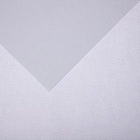 Бумага для пастели Mi-Teintes CANSON, 21 х 29.7 см, 1 лист, №104 Сиреневый, 160 г/м2