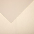Бумага для пастели Mi-Teintes CANSON, 21 х 29.7 см, 1 лист, №110 Лилия, 160 г/м2 - фото 10692488