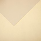 Бумага для пастели Mi-Teintes CANSON, 21 х 29.7 см, 1 лист, №111 Слоновая кость, 160 г/м2 - фото 10692489