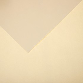 Бумага для пастели Mi-Teintes CANSON, 21 х 29.7 см, 1 лист, №111 Слоновая кость, 160 г/м2
