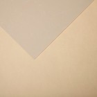 Бумага для пастели Mi-Teintes CANSON, 21 х 29.7 см, 1 лист, №112 Желтая скорлупа, 160 г/м2 - фото 10692490