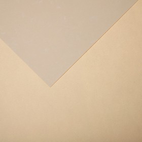 Бумага для пастели Mi-Teintes CANSON, 21 х 29.7 см, 1 лист, №112 Желтая скорлупа, 160 г/м2