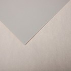 Бумага для пастели Mi-Teintes CANSON, 21 х 29.7 см, 1 лист, №120 Серый жемчужный, 160 г/м2 - фото 10692491