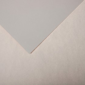 Бумага для пастели Mi-Teintes CANSON, 21 х 29.7 см, 1 лист, №120 Серый жемчужный, 160 г/м2