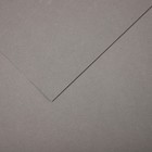 Бумага для пастели Mi-Teintes CANSON, 21 х 29.7 см, 1 лист, №122 Серая фланель, 160 г/м2 - фото 10692492