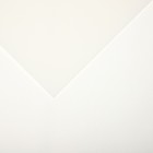 Бумага для пастели Mi-Teintes CANSON, 21 х 29.7 см, 1 лист, №335 Белый, 160 г/м2 - фото 10692494
