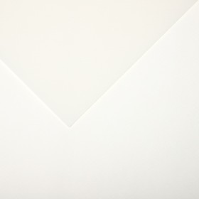 Бумага для пастели Mi-Teintes CANSON, 21 х 29.7 см, 1 лист, №335 Белый, 160 г/м2