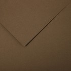 Бумага для пастели Mi-Teintes CANSON, 21 х 29.7 см, 1 лист, №336 Коричневый песчаный, 160 г/м2 - фото 10692495