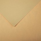Бумага для пастели Mi-Teintes CANSON, 21 х 29.7 см, 1 лист, №340 Бежевый светлый, 160 г/м2 - фото 10692496
