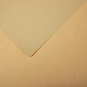 Бумага для пастели Mi-Teintes CANSON, 21 х 29.7 см, 1 лист, №340 Бежевый светлый, 160 г/м2