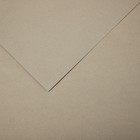 Бумага для пастели Mi-Teintes CANSON, 21 х 29.7 см, 1 лист, №343 Серо-бежевый, 160 г/м2 - фото 10692497