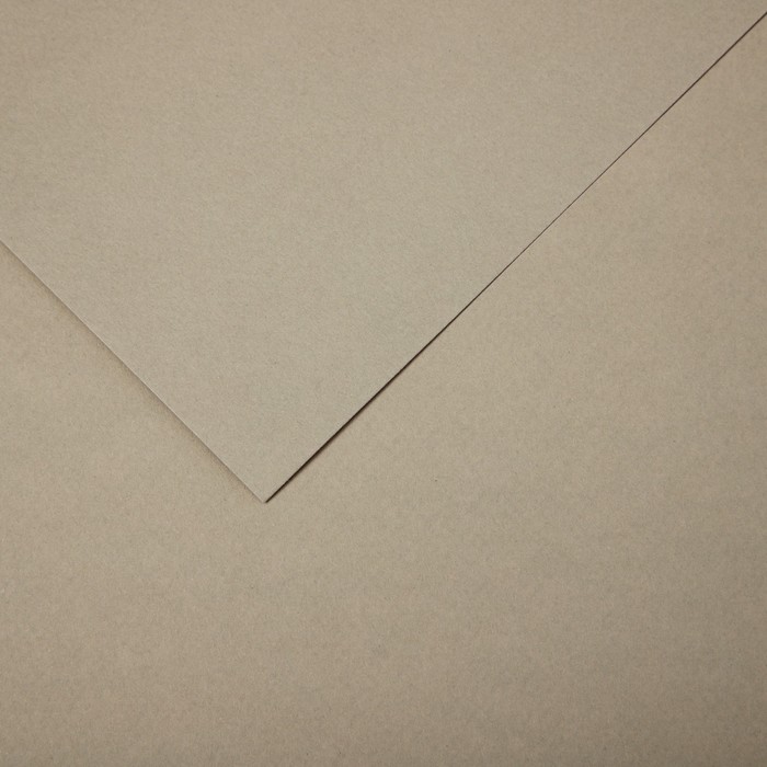 Бумага для пастели Mi-Teintes CANSON, 21 х 29.7 см, 1 лист, №343 Серо-бежевый, 160 г/м2