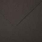 Бумага для пастели Mi-Teintes CANSON, 21 х 29.7 см, 1 лист, №345 Серый темный, 160 г/м2 - фото 10692498