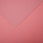 Бумага для пастели Mi-Teintes CANSON, 21 х 29.7 см, 1 лист, №352 Розовая орхидея, 160 г/м2 - фото 10692499