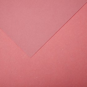 Бумага для пастели Mi-Teintes CANSON, 21 х 29.7 см, 1 лист, №352 Розовая орхидея, 160 г/м2