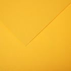 Бумага для пастели Mi-Teintes CANSON, 21 х 29.7 см, 1 лист, №400 Желтый канареечный, 160 г/м2 - фото 10692501