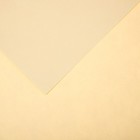 Бумага для пастели Mi-Teintes CANSON, 21 х 29.7 см, 1 лист, №407 Кремовый, 160 г/м2 - фото 10692502