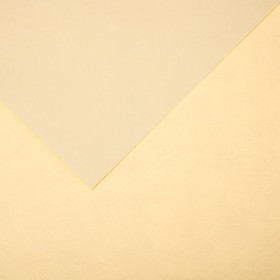 Бумага для пастели Mi-Teintes CANSON, 21 х 29.7 см, 1 лист, №407 Кремовый, 160 г/м2