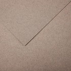 Бумага для пастели Mi-Teintes CANSON, 21 х 29.7 см, 1 лист, №426 Серый лунный камень, 160 г/м2 - фото 10692503