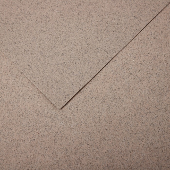 Бумага для пастели Mi-Teintes CANSON, 21 х 29.7 см, 1 лист, №426 Серый лунный камень, 160 г/м2