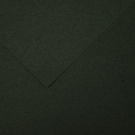 Бумага для пастели Mi-Teintes CANSON, 21 х 29.7 см, 1 лист, №448 Зеленый плющ, 160 г/м2