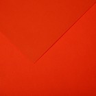 Бумага для пастели Mi-Teintes CANSON, 21 х 29.7 см, 1 лист, №453 Оранжевый, 160 г/м2 - фото 10692507