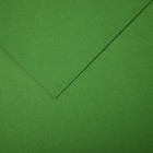 Бумага для пастели Mi-Teintes CANSON, 21 х 29.7 см, 1 лист, №475 Зеленое яблоко, 160 г/м2 - фото 10692508
