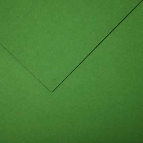 Бумага для пастели Mi-Teintes CANSON, 21 х 29.7 см, 1 лист, №475 Зеленое яблоко, 160 г/м2