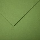 Бумага для пастели Mi-Teintes CANSON, 21 х 29.7 см, 1 лист, №480 Зеленый светлый, 160 г/м2 - фото 10692509