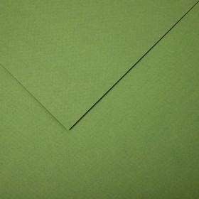 Бумага для пастели Mi-Teintes CANSON, 21 х 29.7 см, 1 лист, №480 Зеленый светлый, 160 г/м2