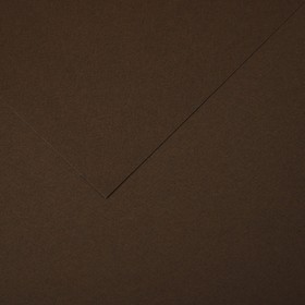 Бумага для пастели Mi-Teintes CANSON, 21 х 29.7 см, 1 лист, №501 Коричневый табак, 160 г/м2