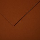 Бумага для пастели Mi-Teintes CANSON, 21 х 29.7 см, 1 лист, №502 Коричневый Гавана, 160 г/м2 - фото 10692511
