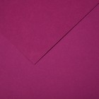 Бумага для пастели Mi-Teintes CANSON, 21 х 29.7 см, 1 лист, №507 Фиолетовый, 160 г/м2 - фото 10692514