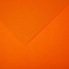Бумага для пастели Mi-Teintes CANSON, 21 х 29.7 см, 1 лист, №553 Кадмий желтый, 160 г/м2 - фото 10974567