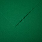 Бумага для пастели Mi-Teintes CANSON, 21 х 29.7 см, 1 лист, №575 Виридиан, 160 г/м2 - фото 10692515