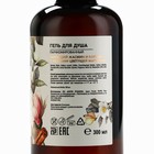 Парфюмированный гель для душа «AROMA THEORY», аромат жасмин, магнолия и корица, 300 мл - фото 807584132