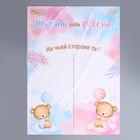 Гендер-пати. Плакат А2 «Мальчик или девочка», мишки (комплект 10 шт) - фото 22501189