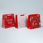 Набор пакетов ламинированных «Снежного Нового года» - фото 61034072