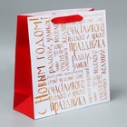 Набор пакетов ламинированных «Снежного Нового года» - фото 61034075