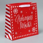 Набор пакетов ламинированных «Снежного Нового года» - фото 61034077