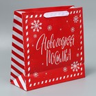 Набор пакетов ламинированных «Снежного Нового года» - фото 61034078