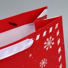 Набор пакетов ламинированных «Снежного Нового года» - фото 61034079