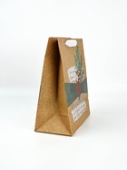 Набор пакетов крафтовых «Новогоднее поздравление» 9301267