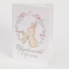 Папка для свидетельства о рождении «Зайка», 22×15 см - фото 44782015